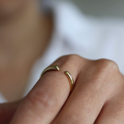REACH Ring